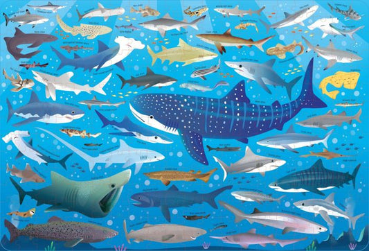 Usborne Book and Jigsaw - Sharks
