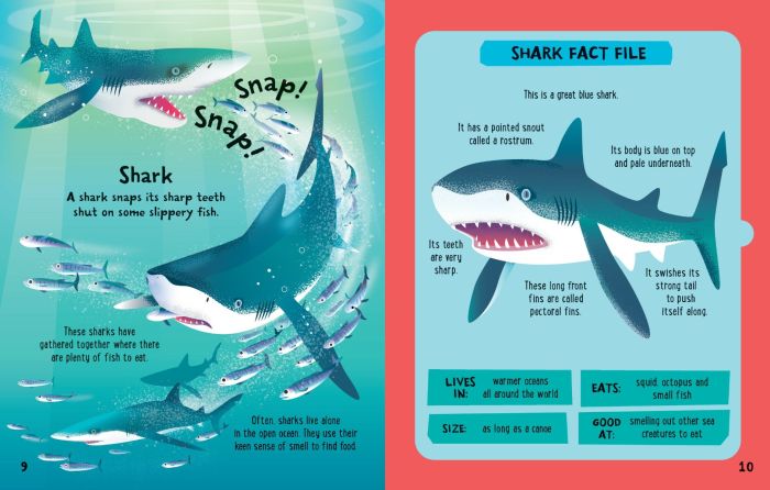 Slot-together Sea Creatures Book