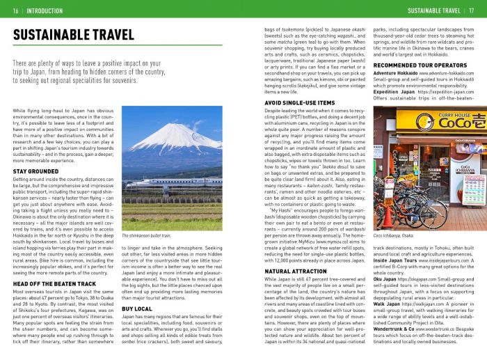 Insight Guides Japan