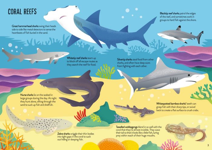 Usborne Book and Jigsaw - Sharks