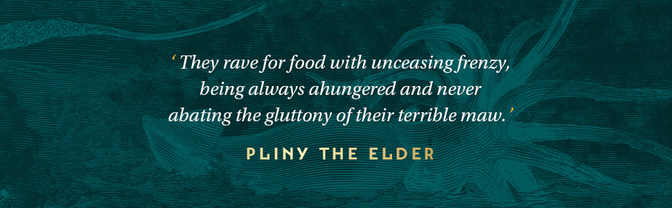 The Book of Sea Monsters **PRE-ORDER - AVAILABLE SEPTEMBER 11**