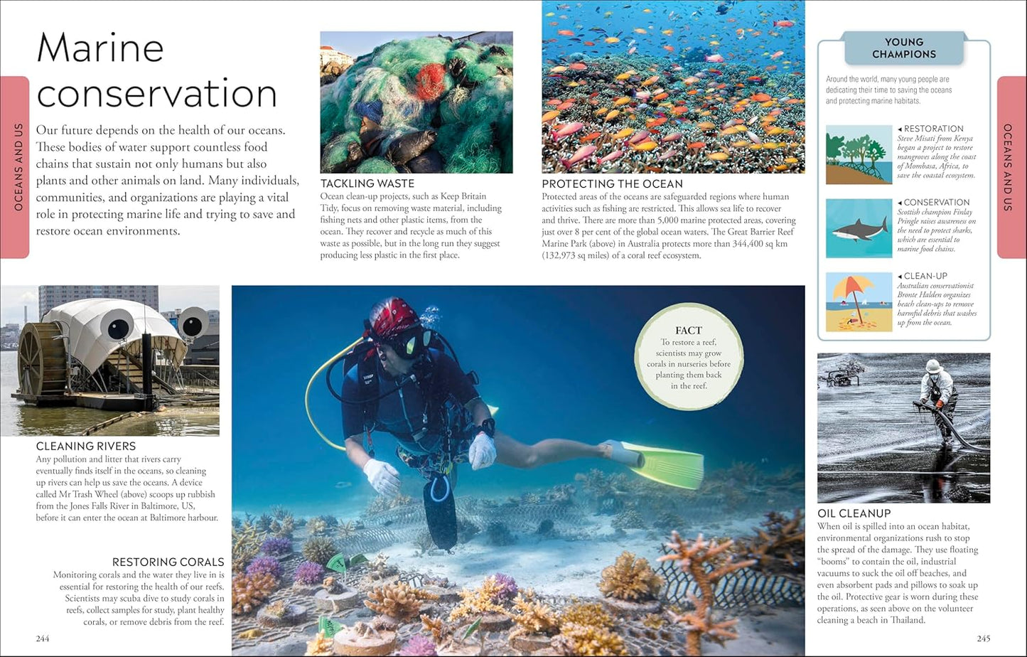 Ocean A Children's Encyclopedia: New Edition (DK Children's Visual Encyclopedia)