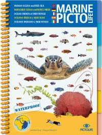 Marine PICTOLIFE - Indian Ocean and Red Sea