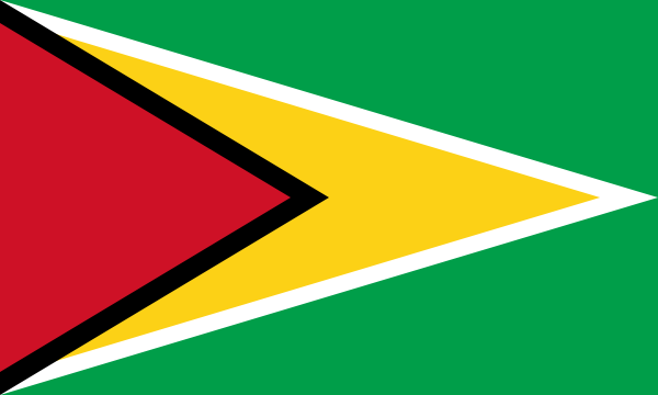 Guyana Courtesy Flag