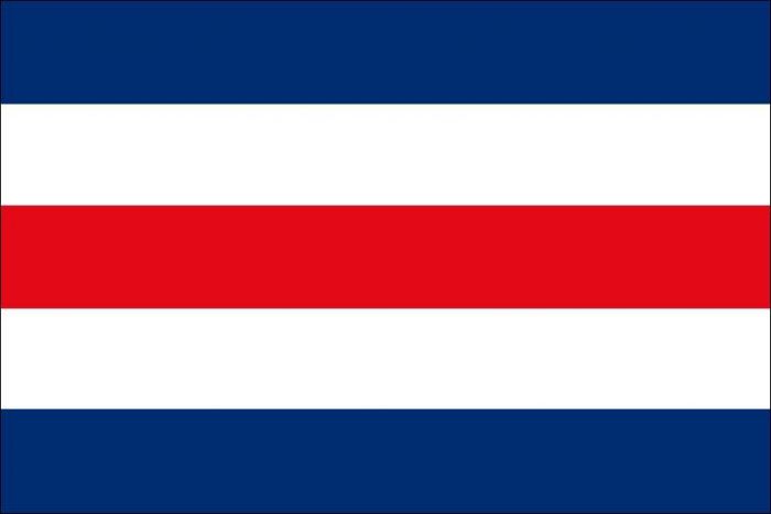 12 x 9 Code Flag C Polyester