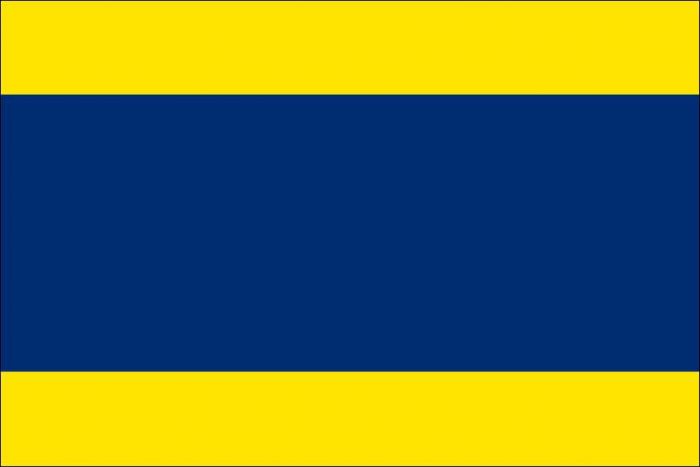 12 x 9 Code Flag D Polyester