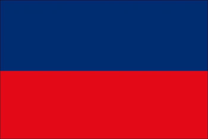 12 x 9 Code Flag E Polyester
