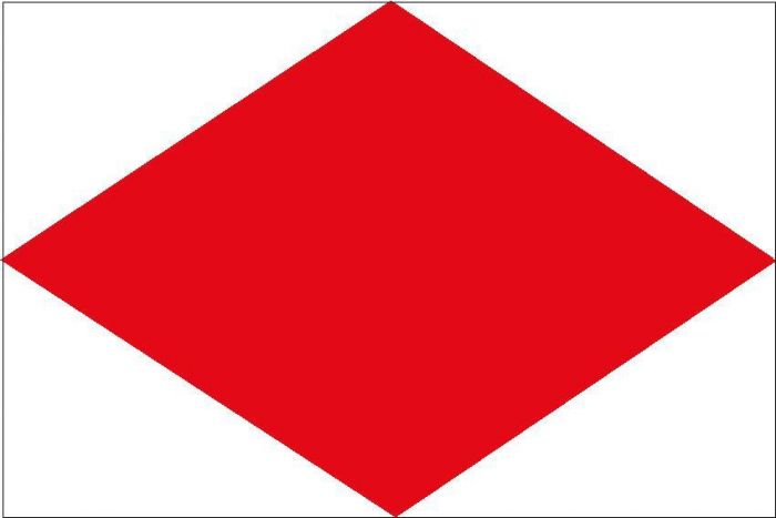 12 x 9 Code Flag F Polyester