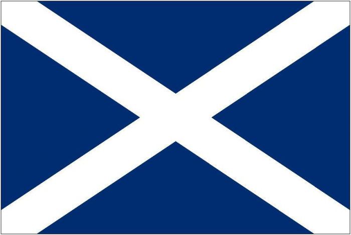 St Andrew's Cross Printed Courtesy Flag