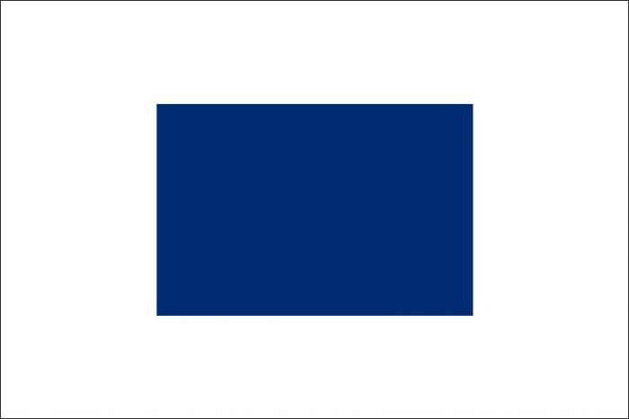 12 x 9 Code Flag S Polyester