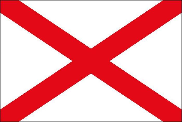 12 x 9 Code Flag V Polyester