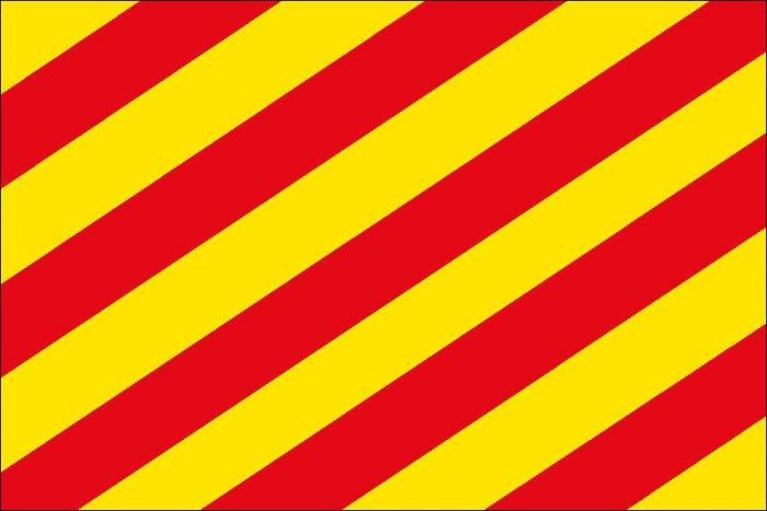 12 x 9 Code Flag Y Polyester