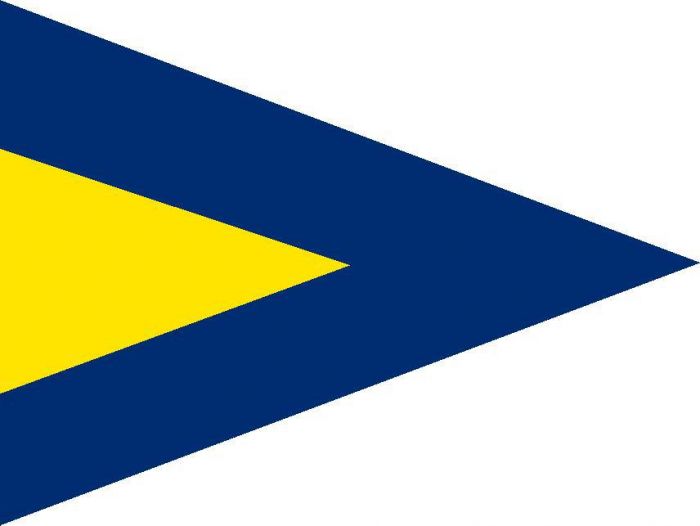 12 X 9 Code Flag 1st Sub Polyester