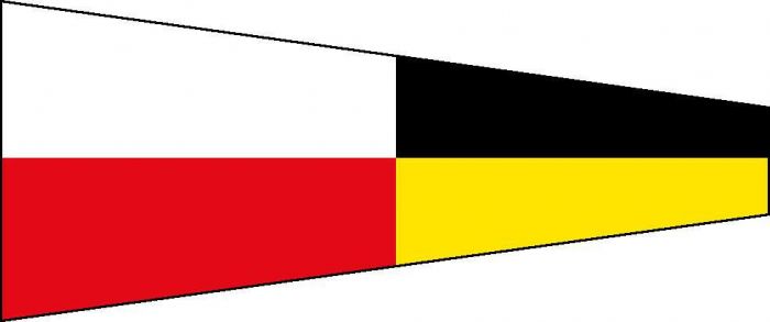 12 x 9 Code Flag No. 9 Polyester