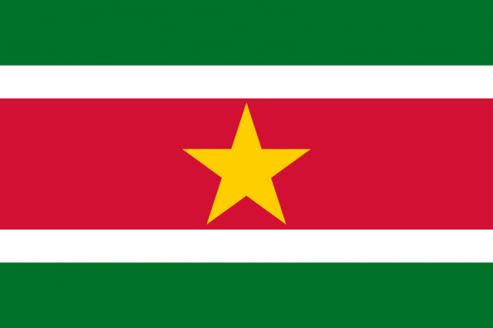 Surinam Courtesy Flag