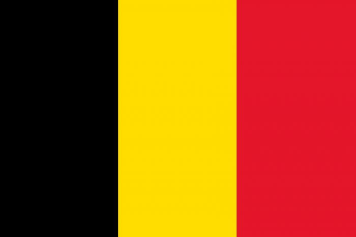 Belgium 12 x 9 Courtesy Flag Polyester