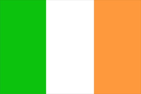 Ireland 12 x 9 Courtesy Flag Polyester