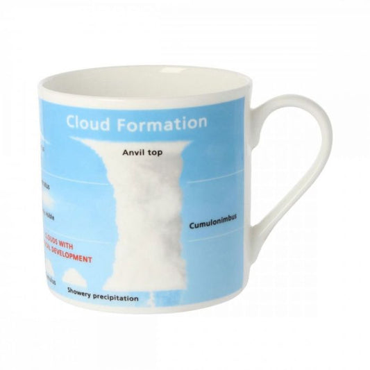 Born to be a Wild Swimmer Mug