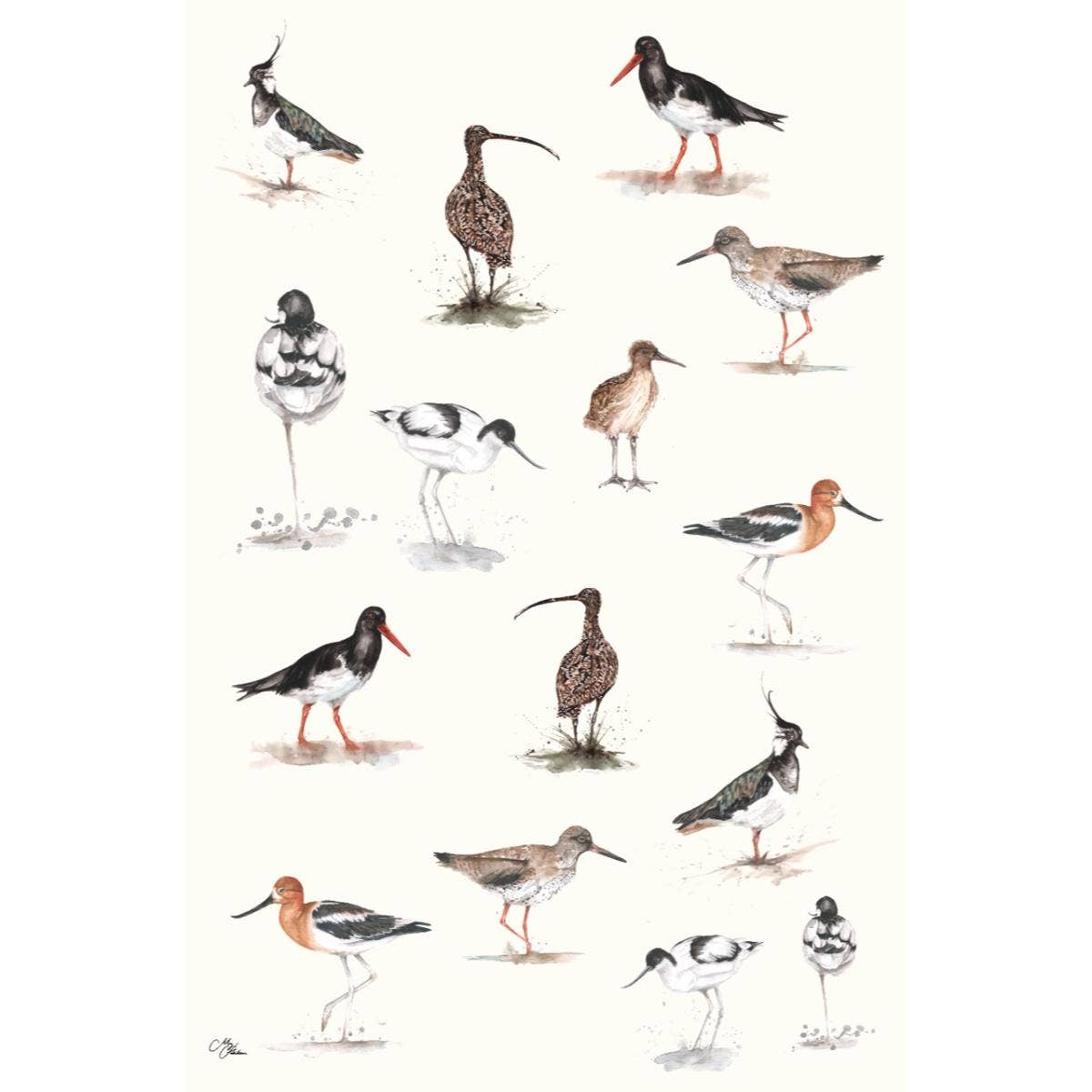 Meg Hawkins Waders Tea Towel