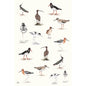 Meg Hawkins Waders Tea Towel