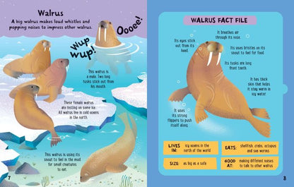 Slot-together Sea Creatures Book