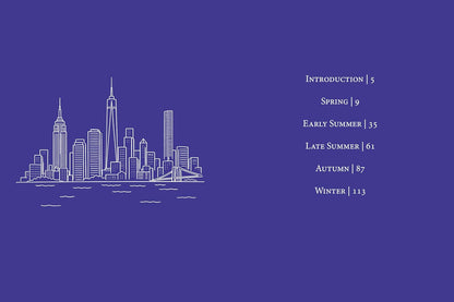 Rough Guides City Stories New York Seasons