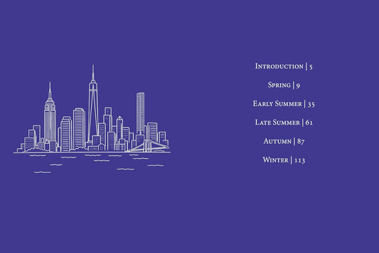 Rough Guides City Stories New York Seasons