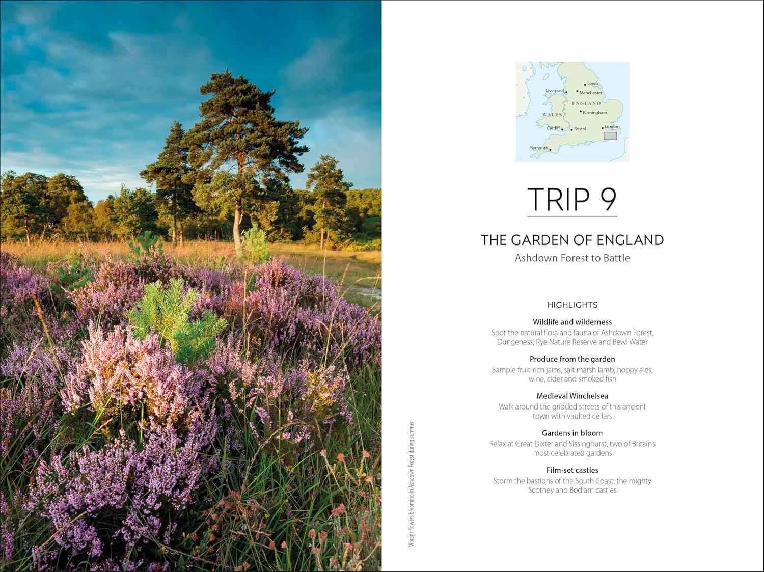 DK Road Trips Great Britain 2026
