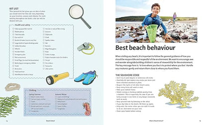 Beach School