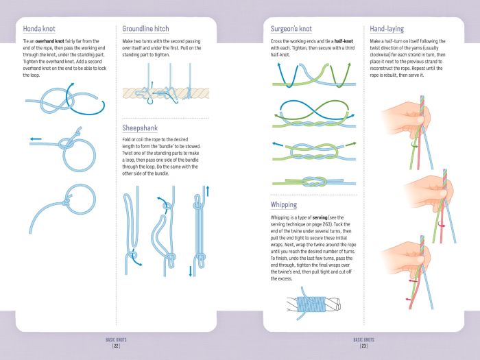 The Big Book of Knots