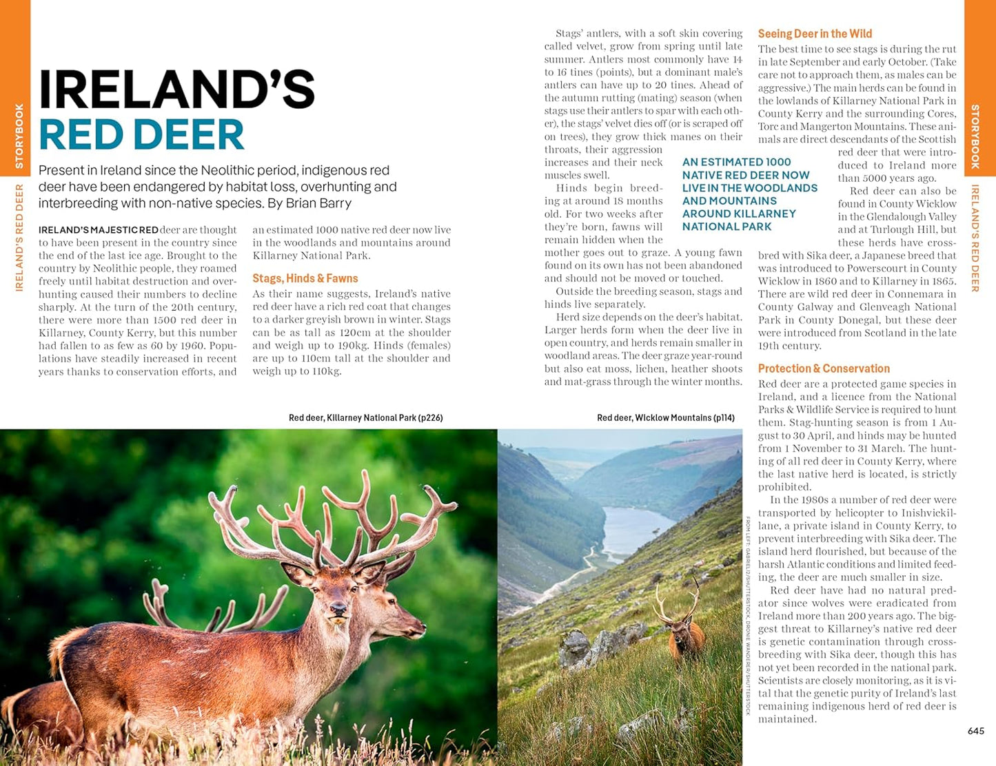 Lonely Planet Ireland, 17th edition 2026