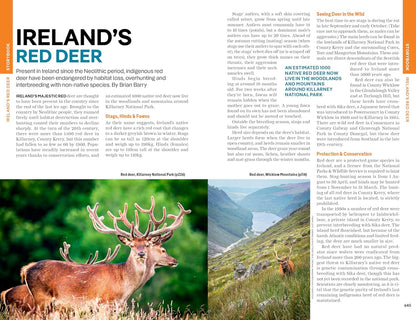Lonely Planet Ireland, 17th edition 2026