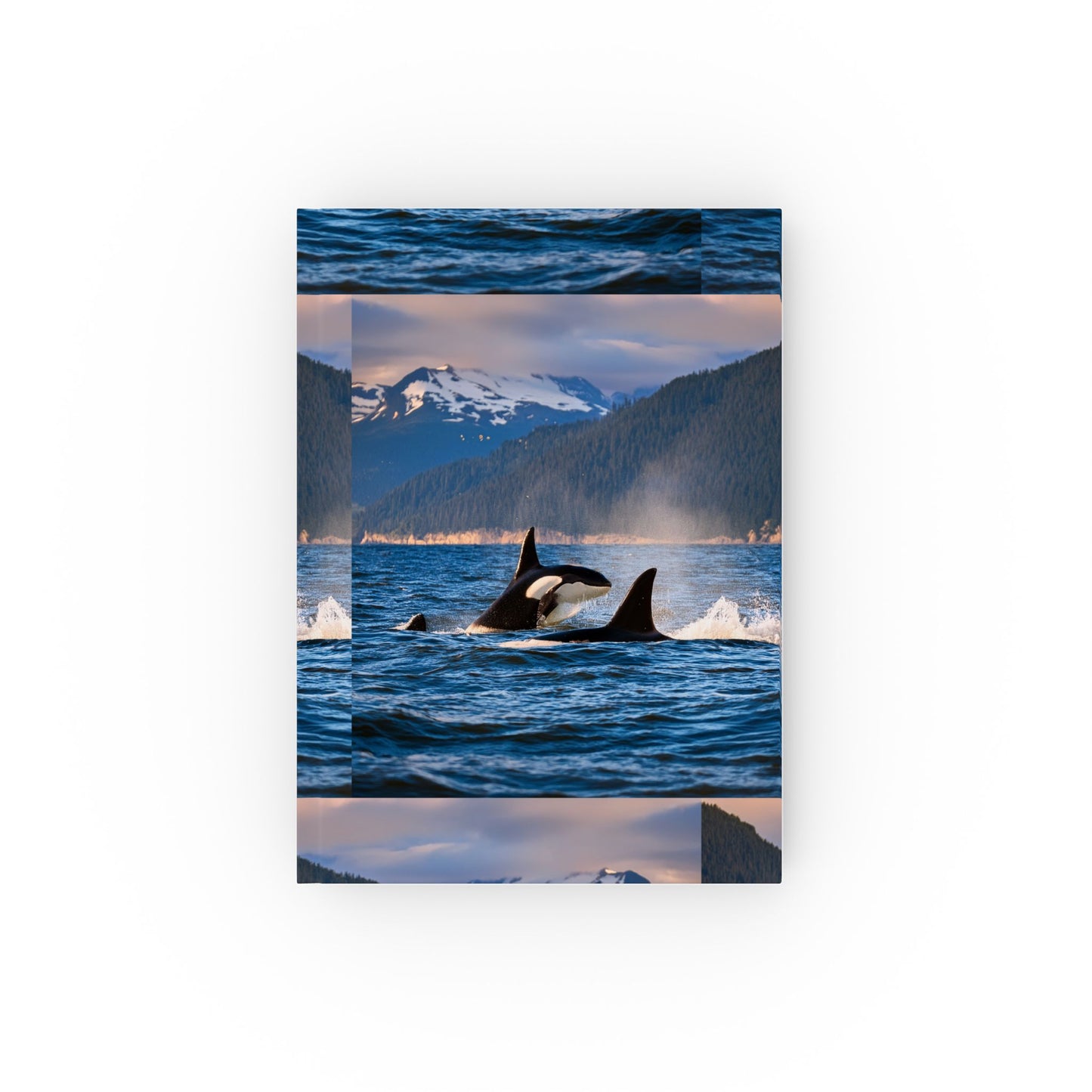 Orca Journal