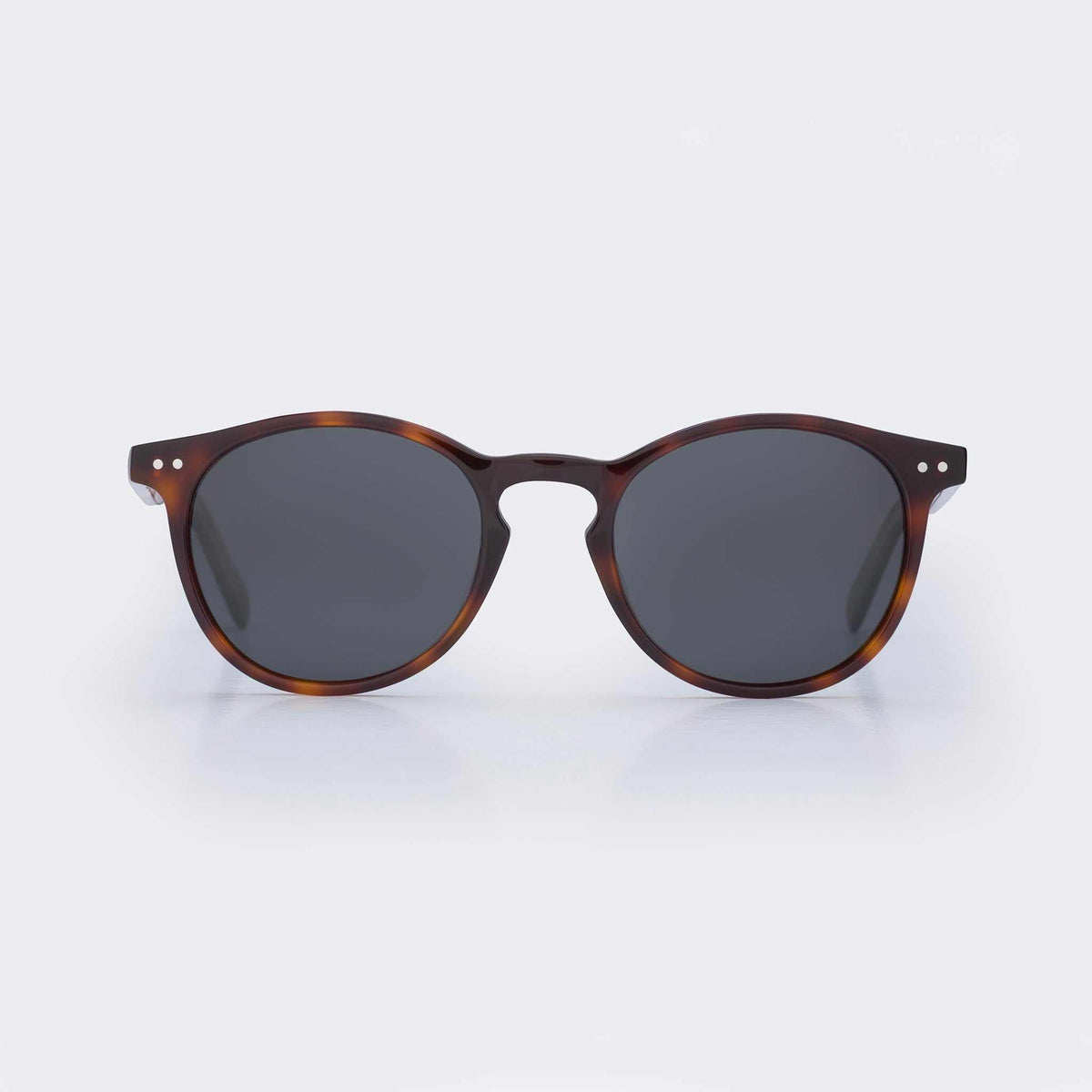 Pipeline - Tortoise Shell