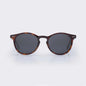 Pipeline - Tortoise Shell