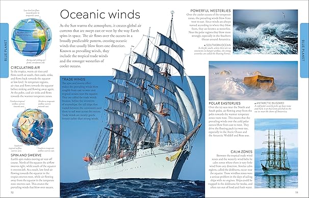 Ocean A Children's Encyclopedia: New Edition (DK Children's Visual Encyclopedia)