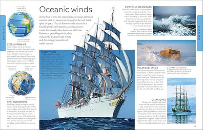 Ocean A Children's Encyclopedia: New Edition (DK Children's Visual Encyclopedia)