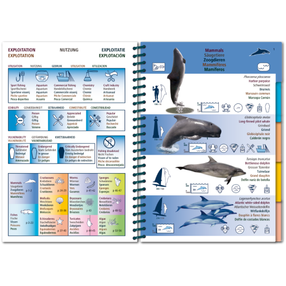 Marine PICTOLIFE - Eastern Atlantic - Boat-Stuff