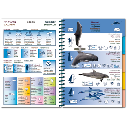 Marine PICTOLIFE - Eastern Atlantic - Boat-Stuff