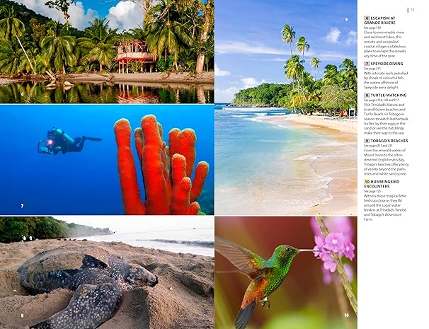 Rough Guides Trinidad and Tobago 2026
