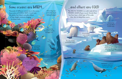 See inside seas and oceans
