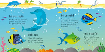 Under the Sea Matching Games