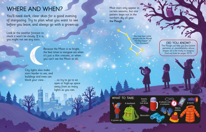 Usborne Stargazing Book (First Hobby Books)