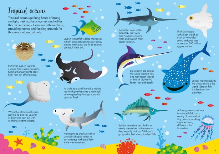 Usborne Book and Jigsaw - Animals of the World