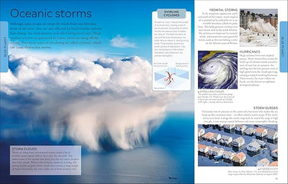 Ocean A Children's Encyclopedia: New Edition (DK Children's Visual Encyclopedia)