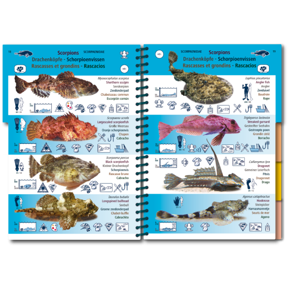 Marine PICTOLIFE - Eastern Atlantic - Boat-Stuff