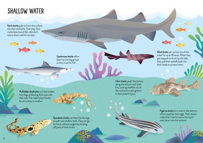 Usborne Book and Jigsaw - Sharks
