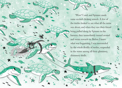 Emerald and the Pearly Turtles, 1st edition