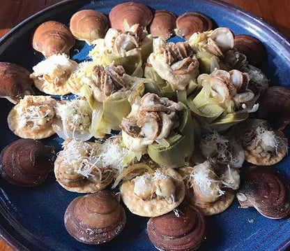 Farmed Sea Scallop Cookbook