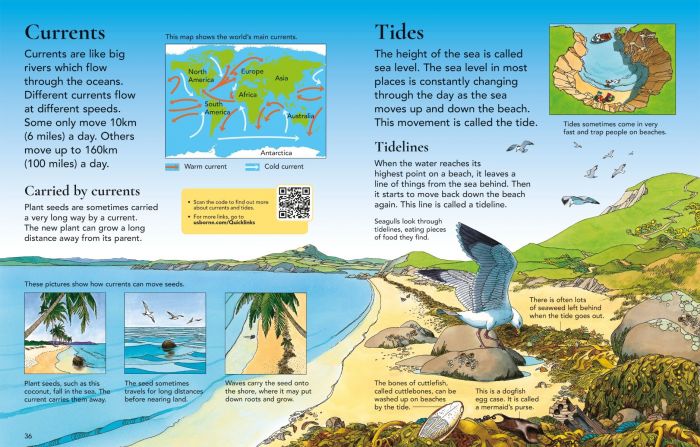 First Encyclopedia of Seas and Oceans